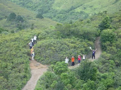 A team taking part in an outdoor adventure programme